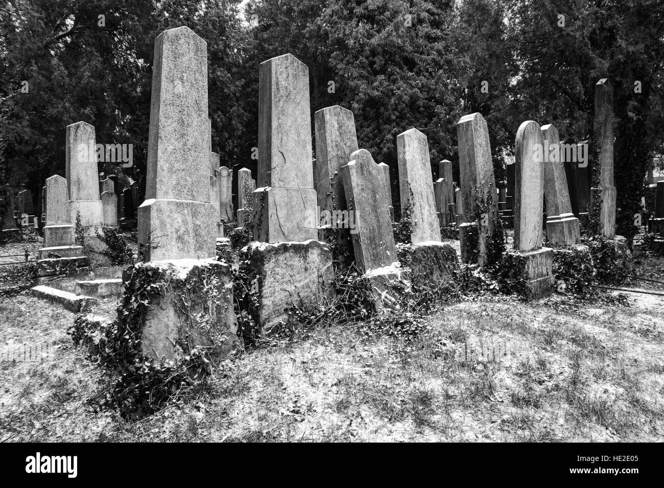 Alten Friedhof Grabsteine im Winter in schwarz / weiß Stockfoto