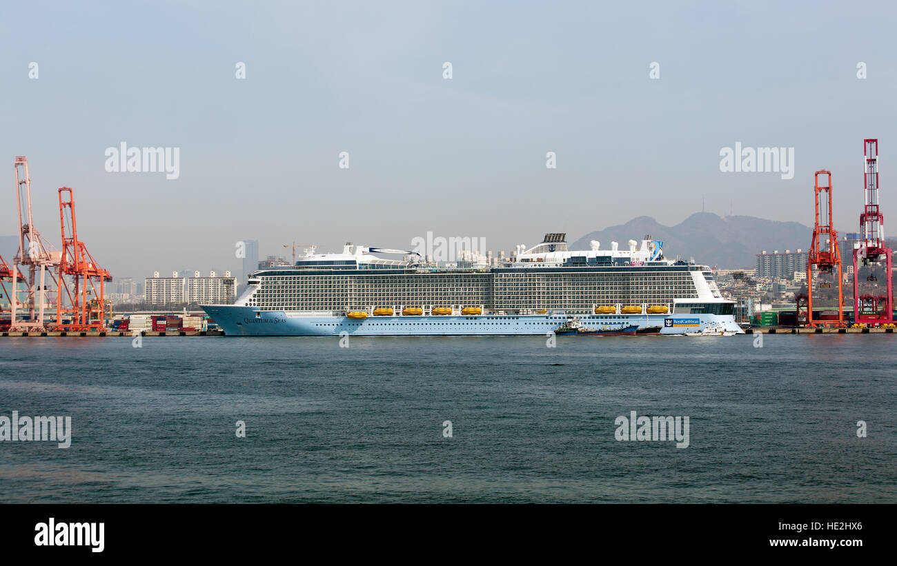 Busan, Südkorea - 22. März 2016: Busan, das Quantum der Meere Passagierschiff ist vertäut des Containerterminals. Stockfoto