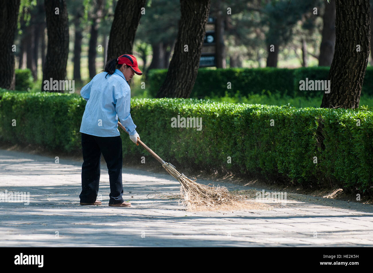 Frau Arbeiter Kehrmaschine kehren Heiligen Weg der Ming Gräber Changping, Beijing, China. Stockfoto