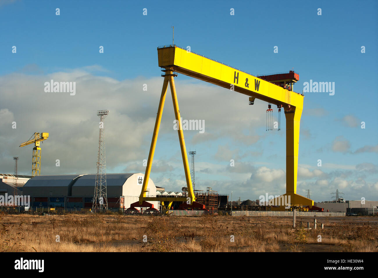 Einer der zwei großen Schiffbau Krane benannte Sampson und Goliath an Harland und Wolff Werft Belfast. Heimat der Titanic Stockfoto