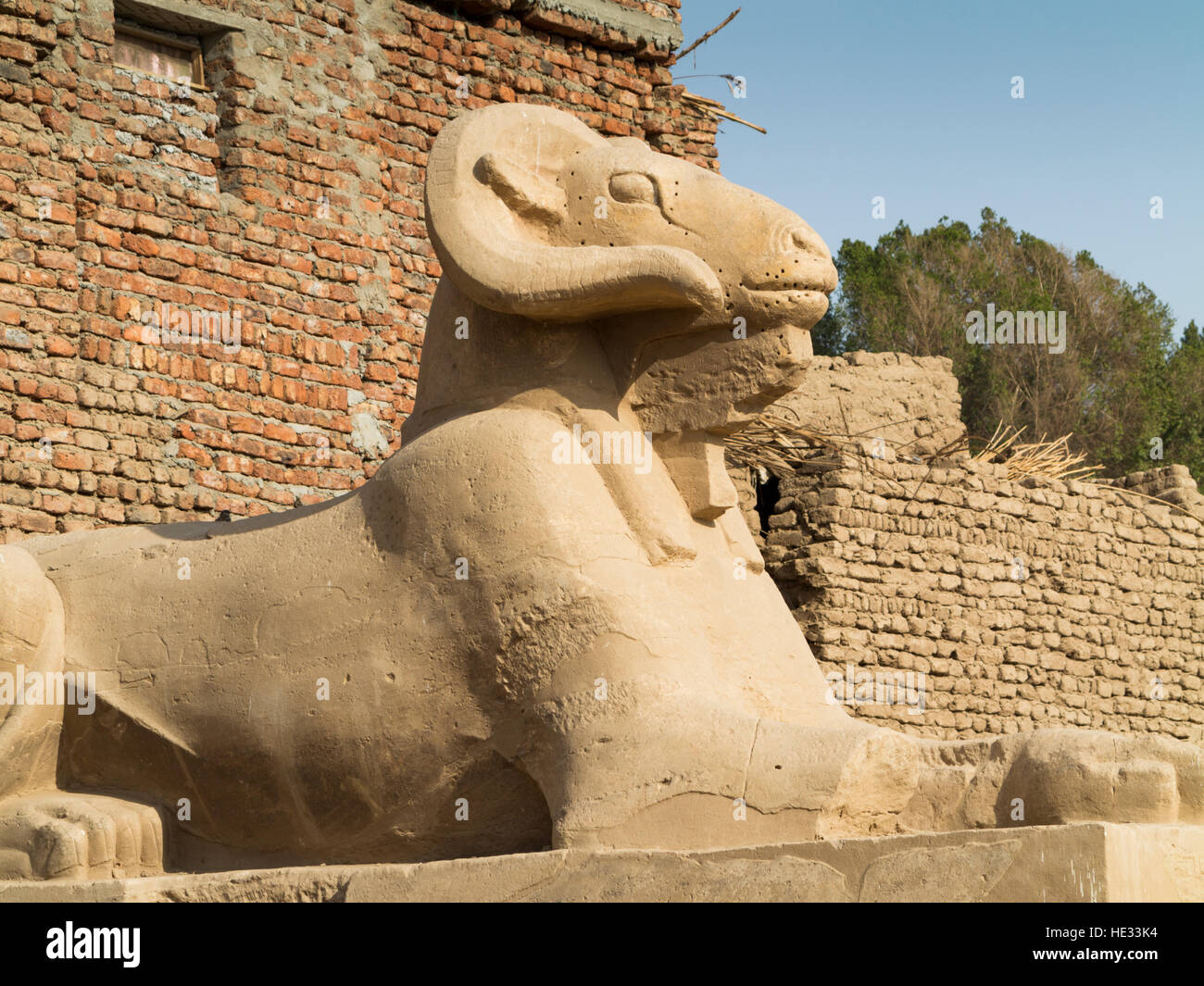 Tutanchamun-Allee der Sphinx von der 10. Pylon der Karnak-Tempel zu den Mut-Tempel in Luxor, Ägypten, Nordafrika führt Stockfoto