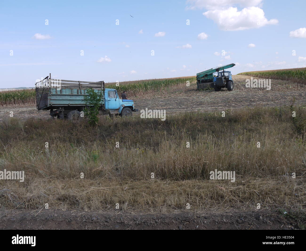 Die Ernte von Getreide auf den Gebieten der Ukraine, Weizen Kornkammer Europas Stockfoto