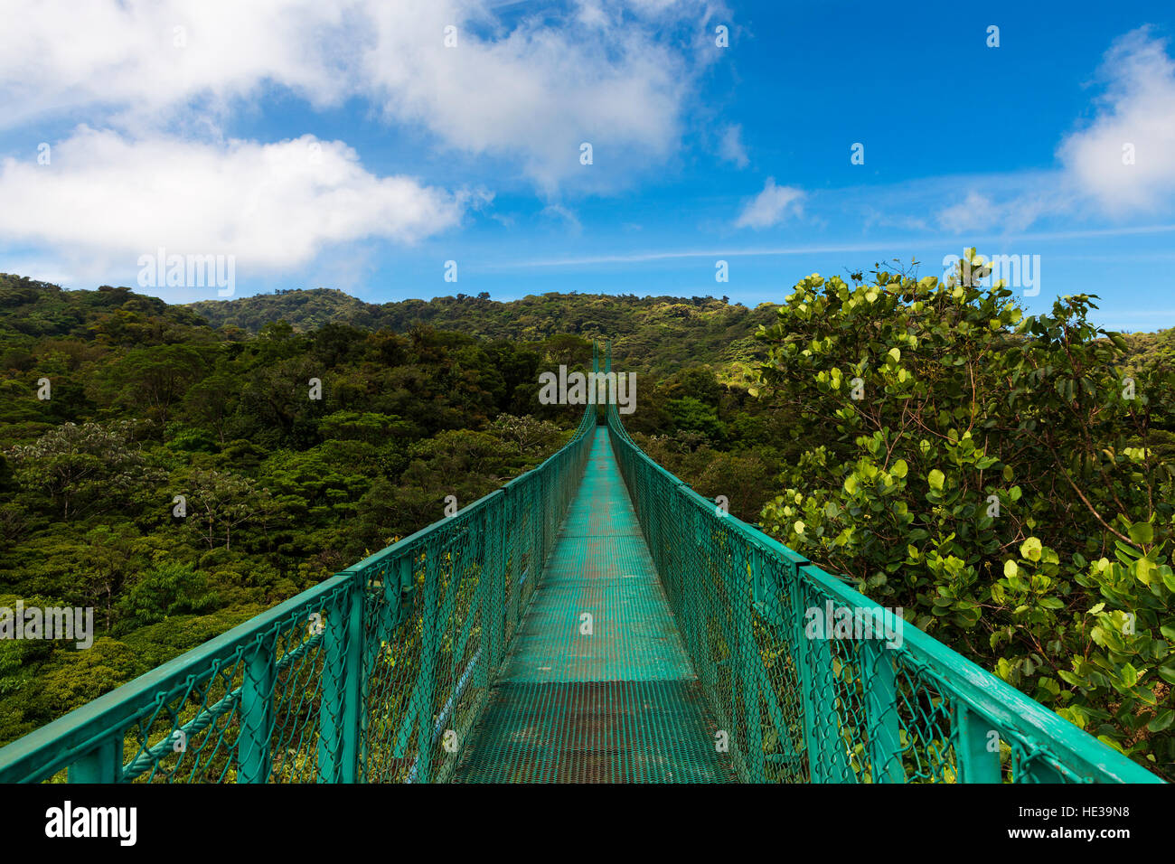 Hängebrücke über den Baumkronen der Bäume in Monteverde, Costa Rica, Mittelamerika Stockfoto