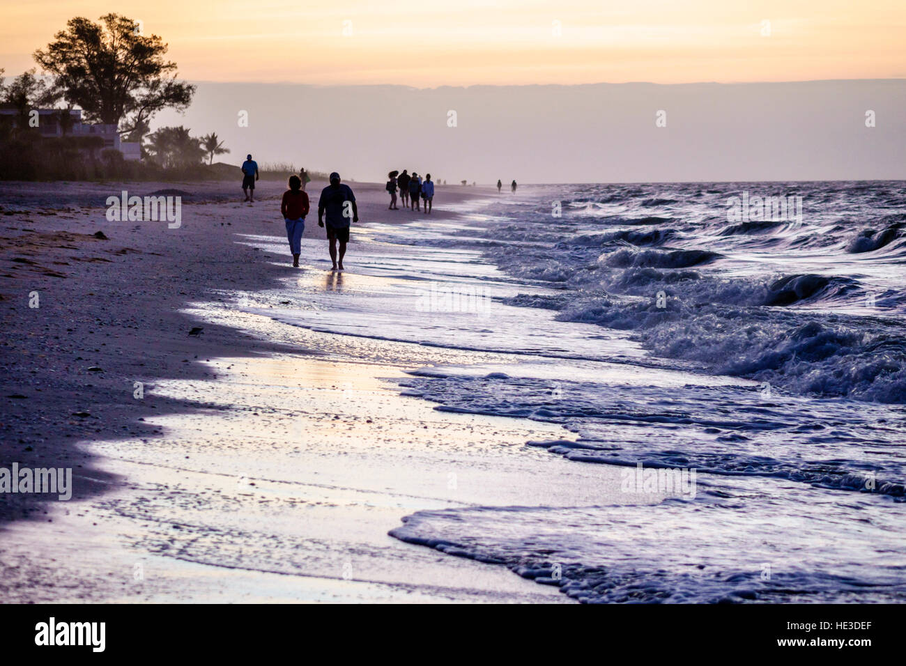 Florida Sanibel Island, Morgendämmerung, Sonnenaufgang, Surfen, Golf von Mexiko, Schalenjäger, Strandräuber, FL161129297 Stockfoto