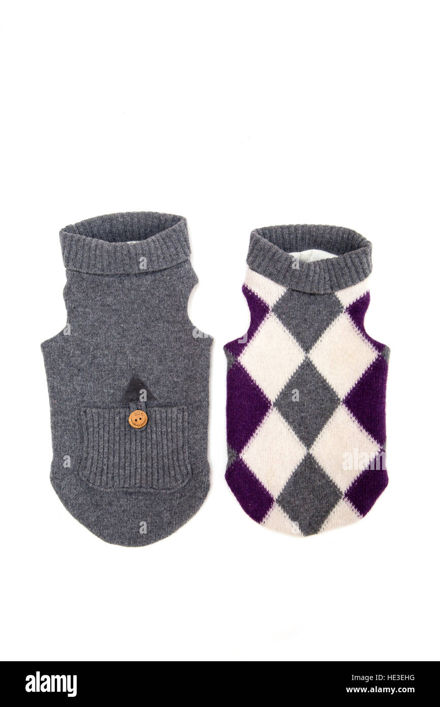 Einzelne Hundepullover isolieren auf weiß Stockfoto