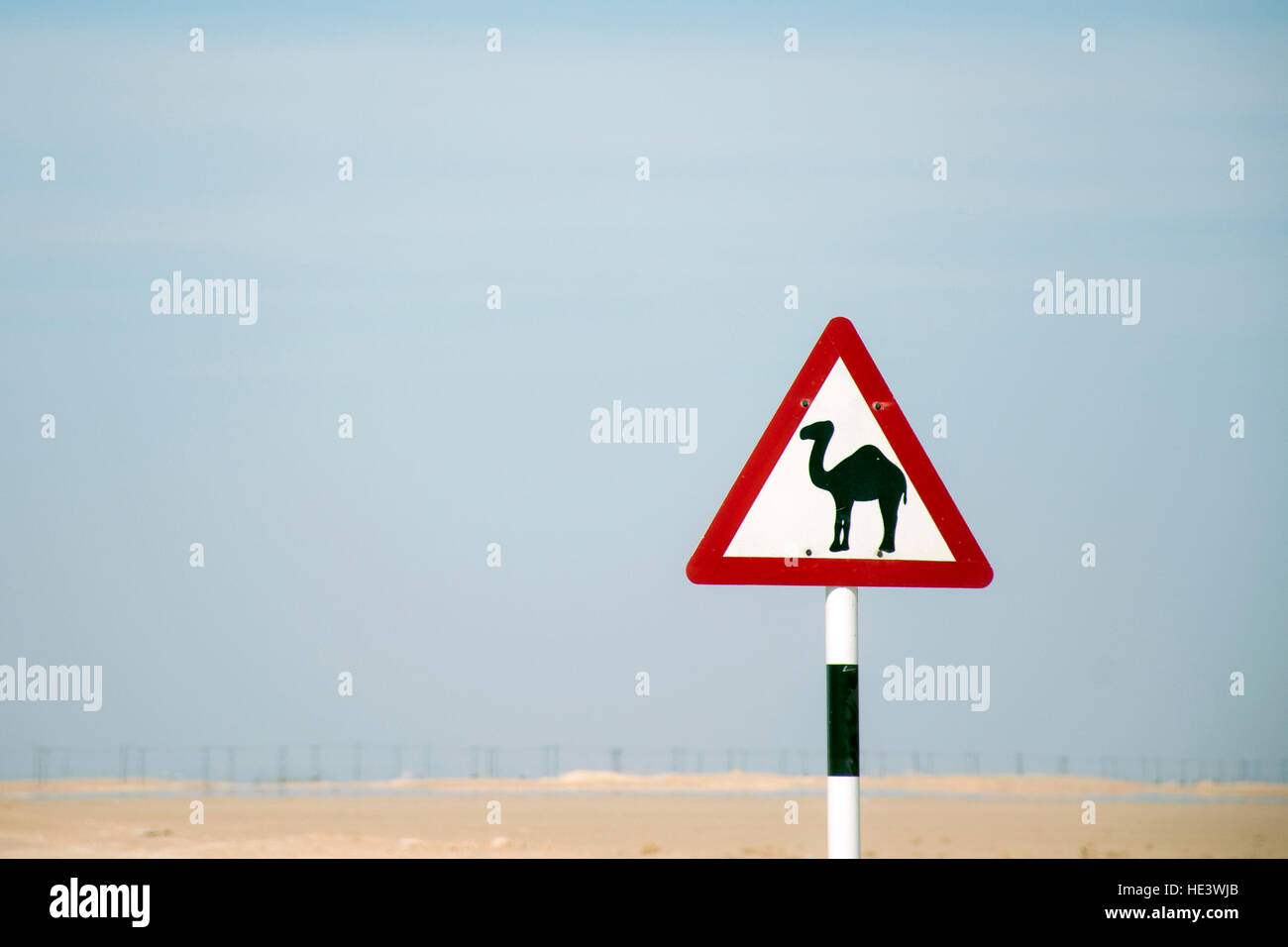 Kamel Warnschild desert Highway in Dhofar Salalah Oman im Nahen Osten 2 Stockfoto