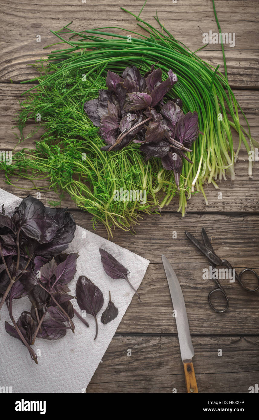 Frische Kräuter aus dem Garten-Basilikum, Dill auf dem Holztisch vertikale Stockfoto