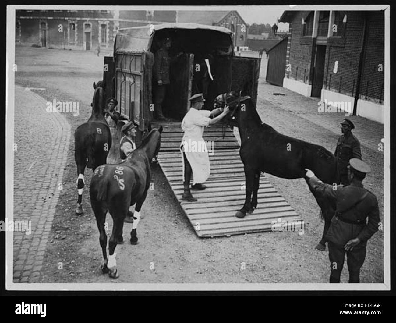 Nützliche Form der Pferd Krankenwagen in Frankreich verwendet wird Stockfoto