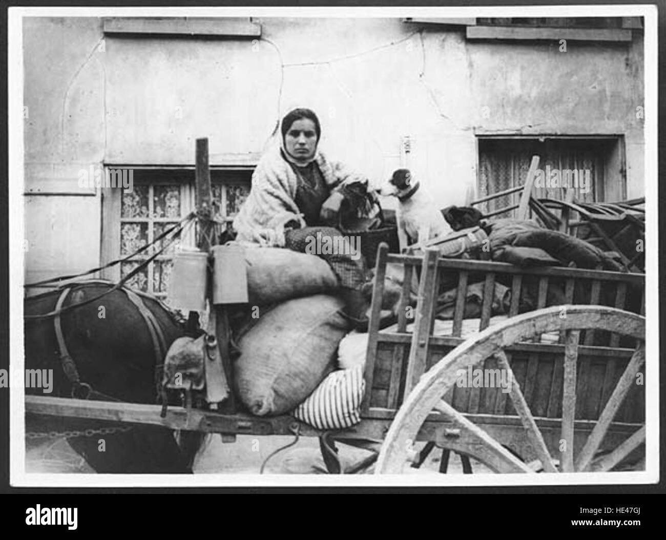 Diese ergreifende Szene zeigt einen Flüchtling mit ihrem Hund, der die emotionale Tiefe und Not von Vertriebenen erfasst. Das Gemälde weckt ein Gefühl der Empathie und hebt den menschlichen Kampf in Krisen- und Kriegszeiten hervor. Stockfoto