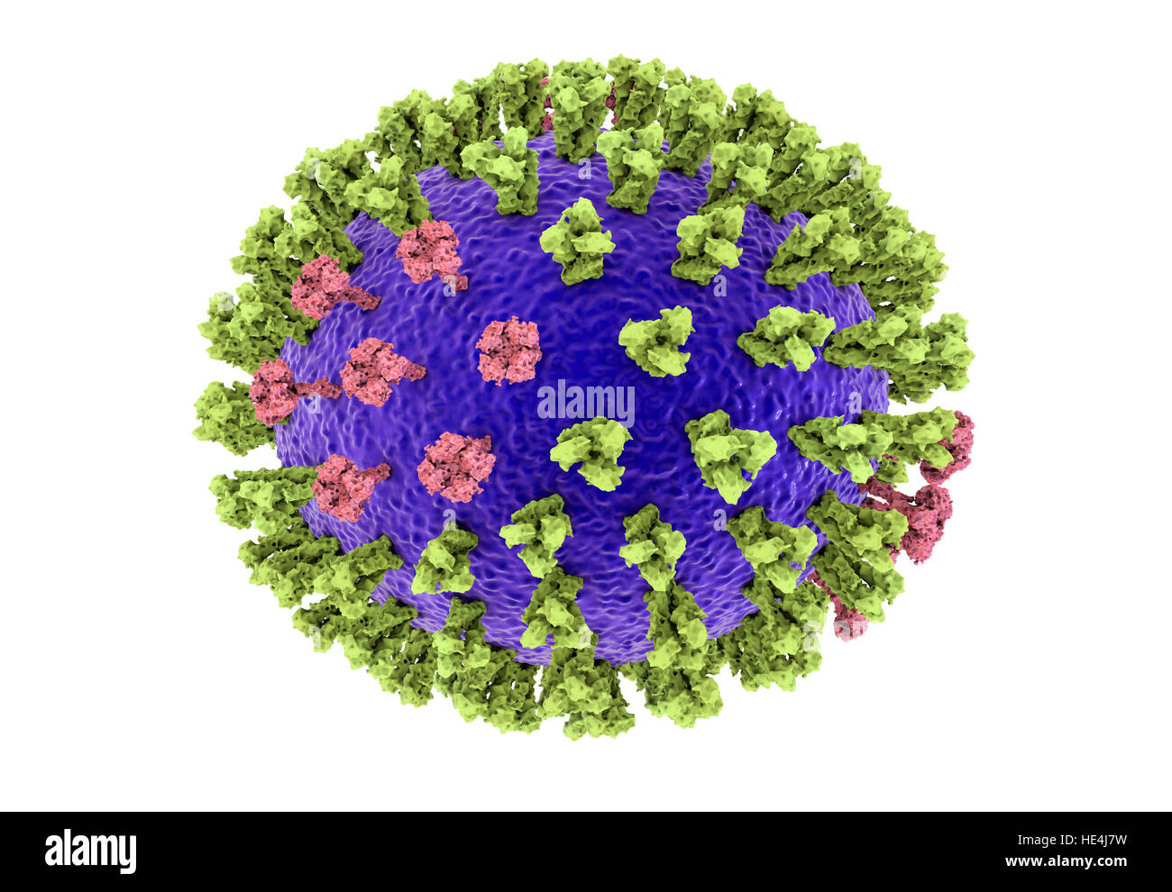 Vogelgrippe-Virus. 3D Illustration einer Vogelgrippe H5N8 Viruspartikel. Innerhalb der viralen Lipid Umschlag (violett) sind zwei Arten von Protein spike, Hämagglutinin (H, grün) und Neuraminidase (N, rosa), die die Stamm des Virus zu bestimmen. Dieser Stamm des Virus verursachte Krankheit bei Wildvögeln und Geflügel in Europa und Asien seit Juni 2016. Ungewöhnlich ist, verursacht das Virus Mortalität bei Wildvögeln, die mehr oft leisen Fördermaschinen sind. Ab Dezember 2016 keine Fälle der Krankheit beim Menschen gemeldet wurden, und Risiko der Übertragung auf den Menschen wird gedacht, um niedrig zu sein. Stockfoto