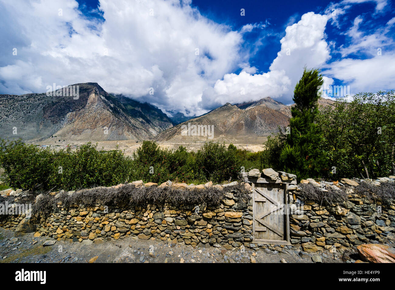 Eine Mauer aus Stein ist umgeben von einem Obstgarten in der Kali Gandaki Tal Stockfoto