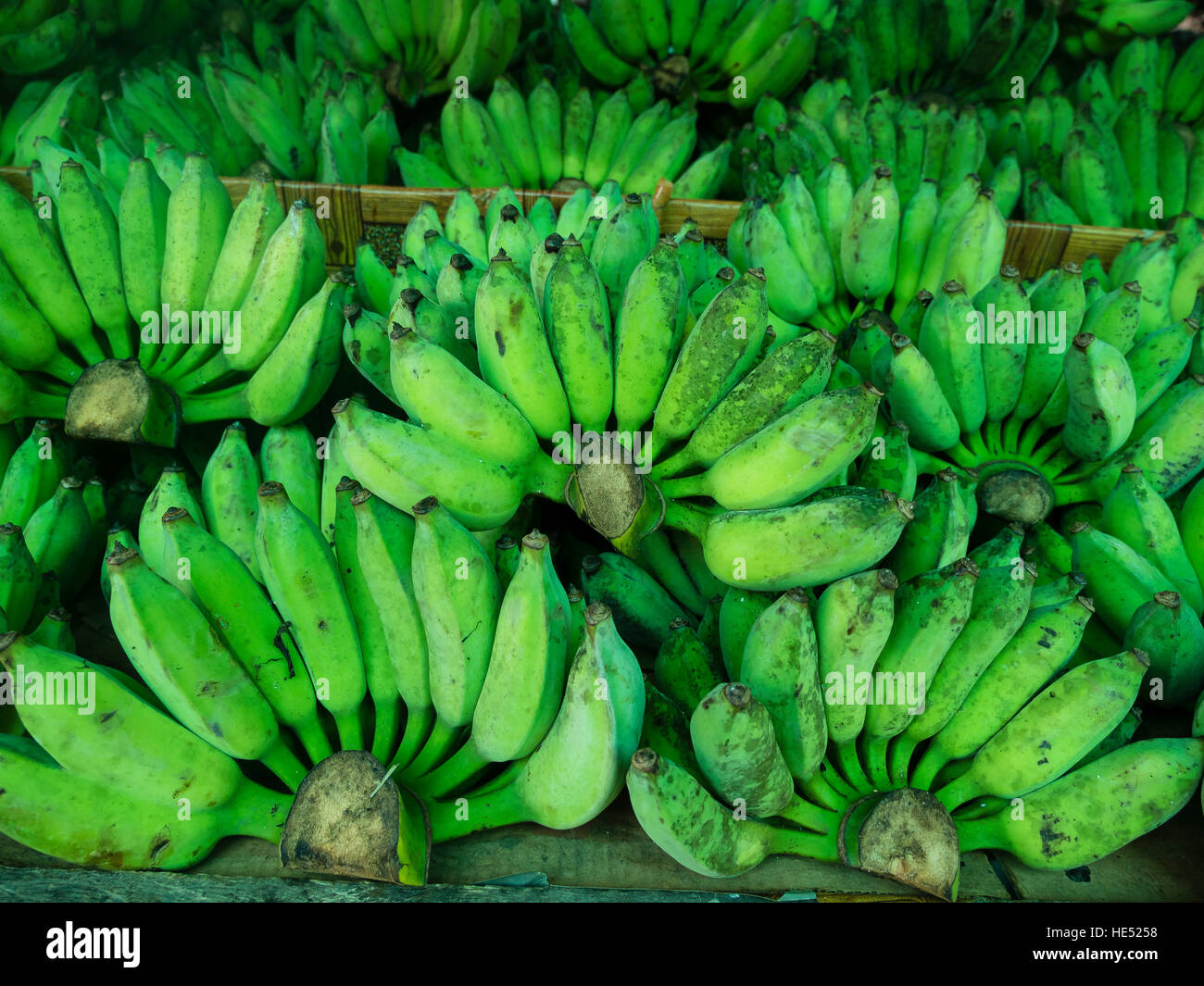 Grüne Bananen am Markt, Koh Samui, Thailand Stockfoto