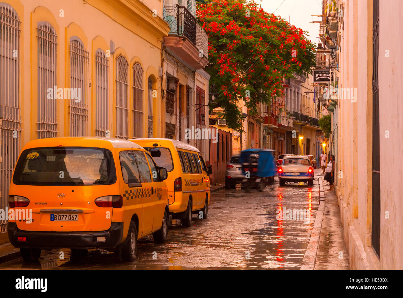 Eine Straße in Alt-Havanna nach Regenfällen in der Nähe von Plaza Vieja. Alt-Havanna, Kuba. Stockfoto