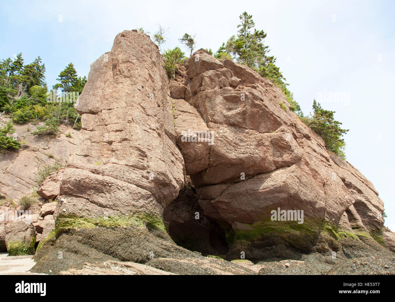 Die Ansicht der ausgewaschene Felsen mit einer Höhle während der Ebbe in Hopewell Rocks Park (New Brunswick, Kanada). Stockfoto