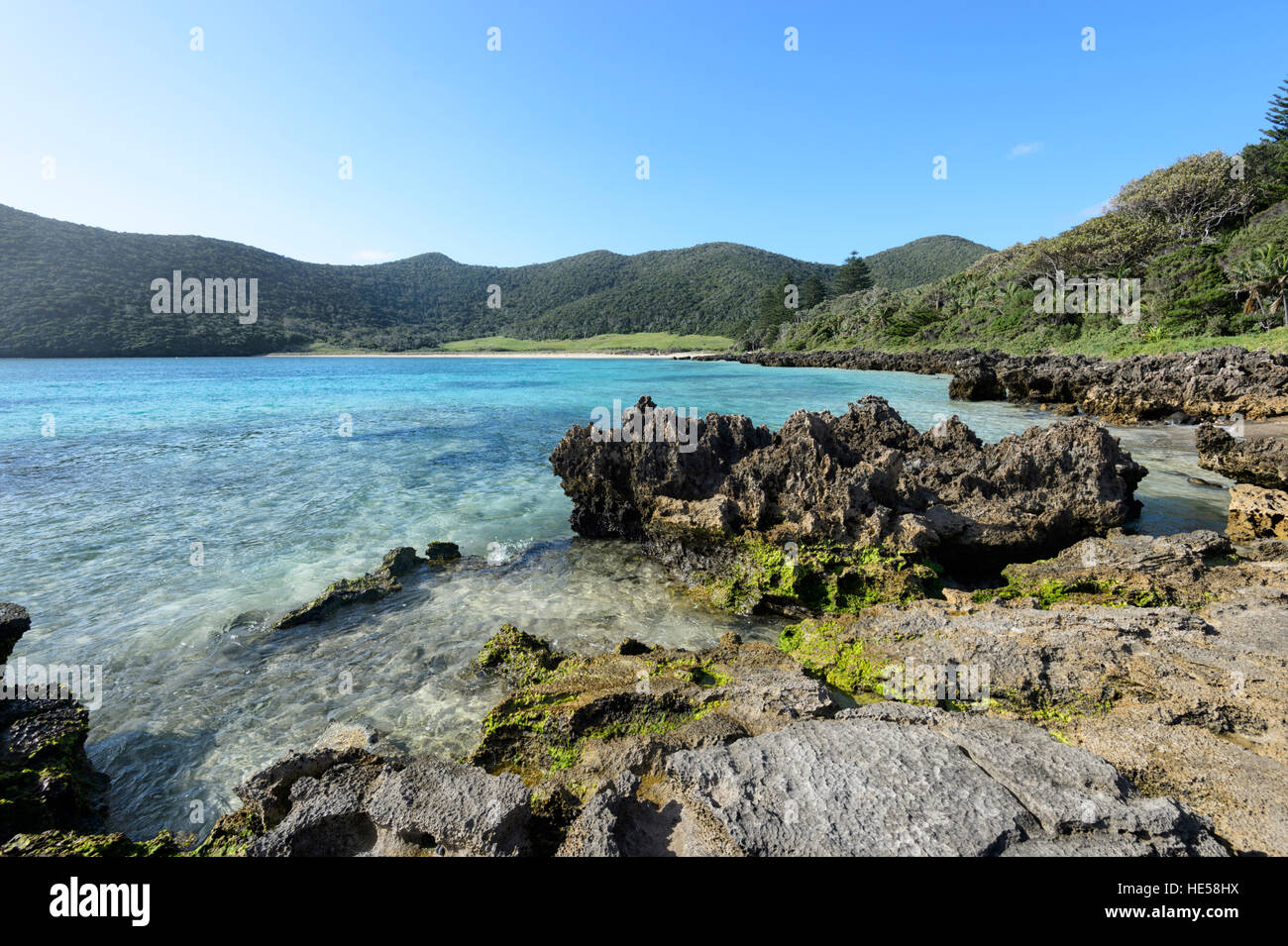 Blick auf malerische alte Siedlung Strand, Lord Howe Island, New South Wales, NSW, Australien Stockfoto