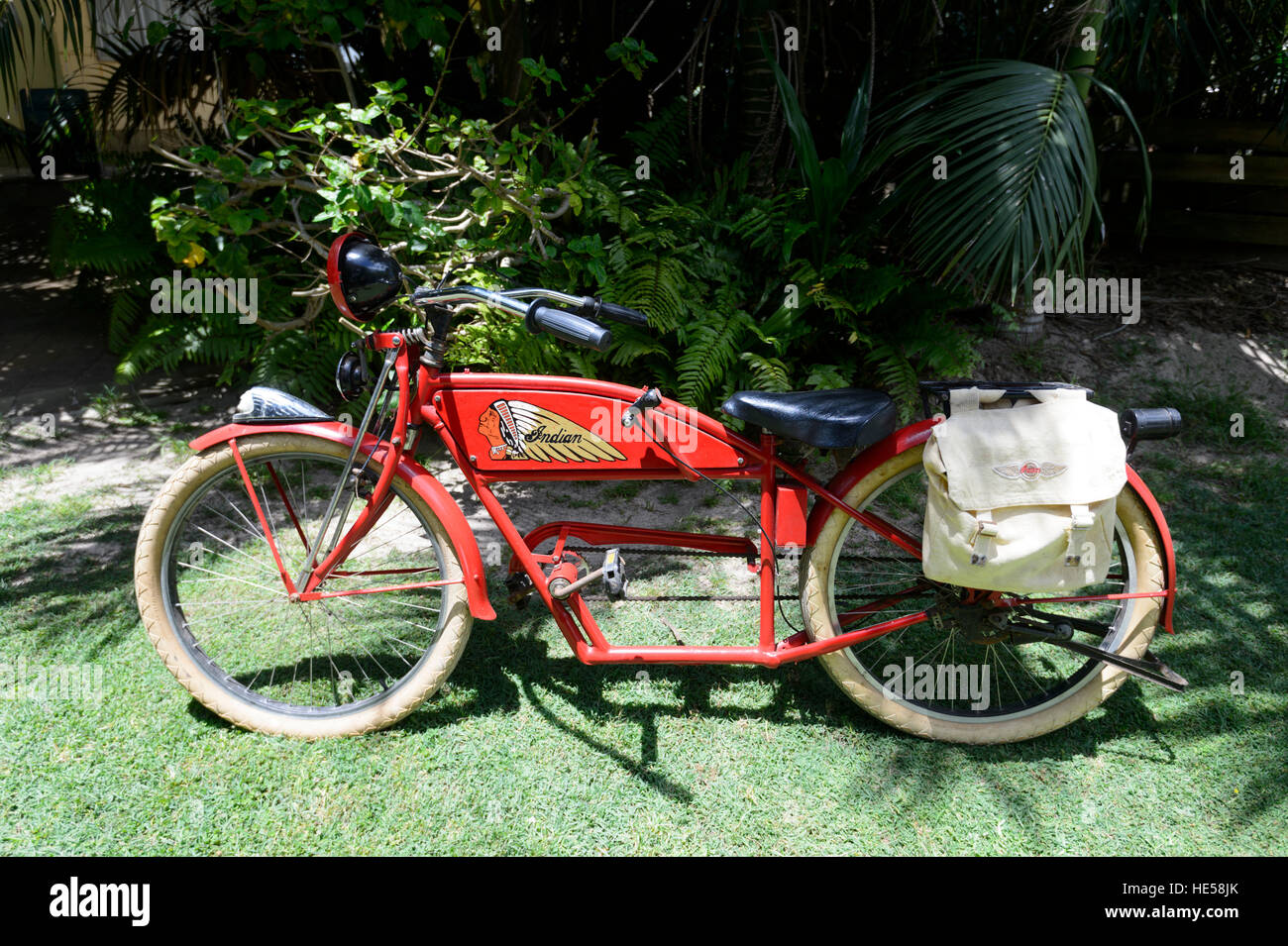 Fantasy-indische Fahrrad, Lord-Howe-Insel, New-South.Wales, Australien Stockfoto