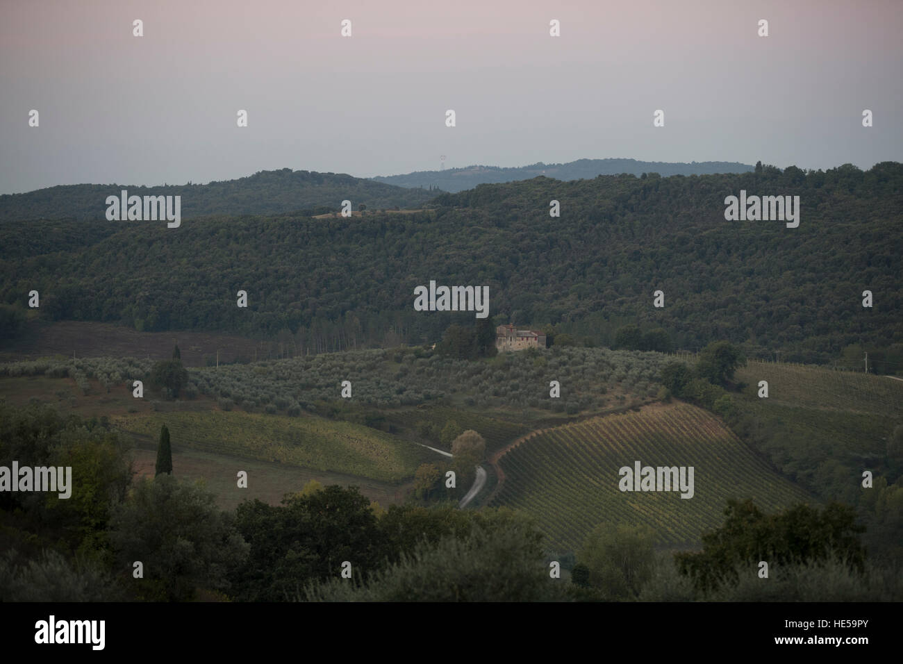 Toskanischen Hügel und die Landschaft von der Straße Santa Lucia, San Gimignano, Toskana, Italien. Stockfoto