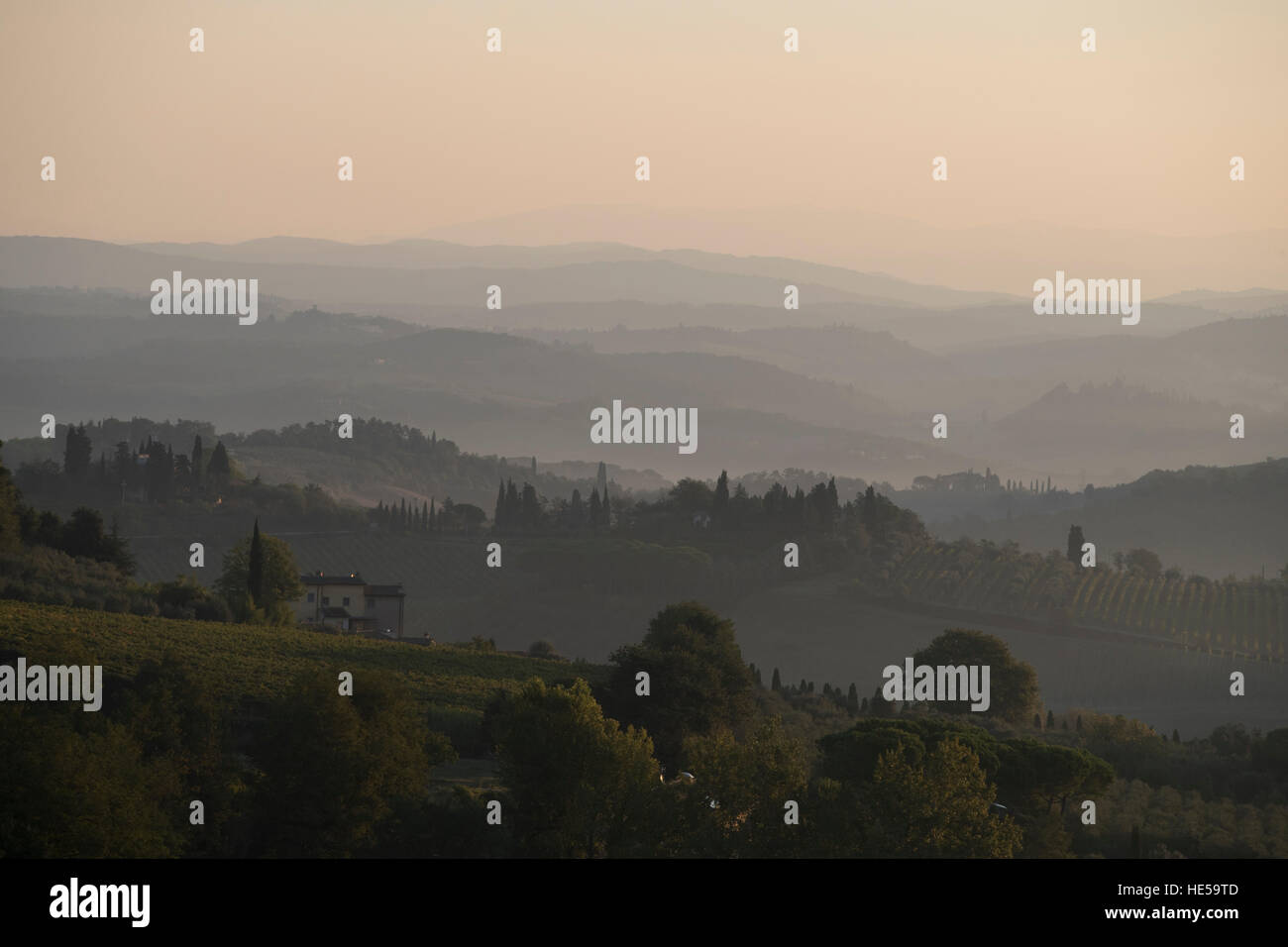 Morgendämmerung in der Umgebung von San Gimignano, Toskana. Stockfoto