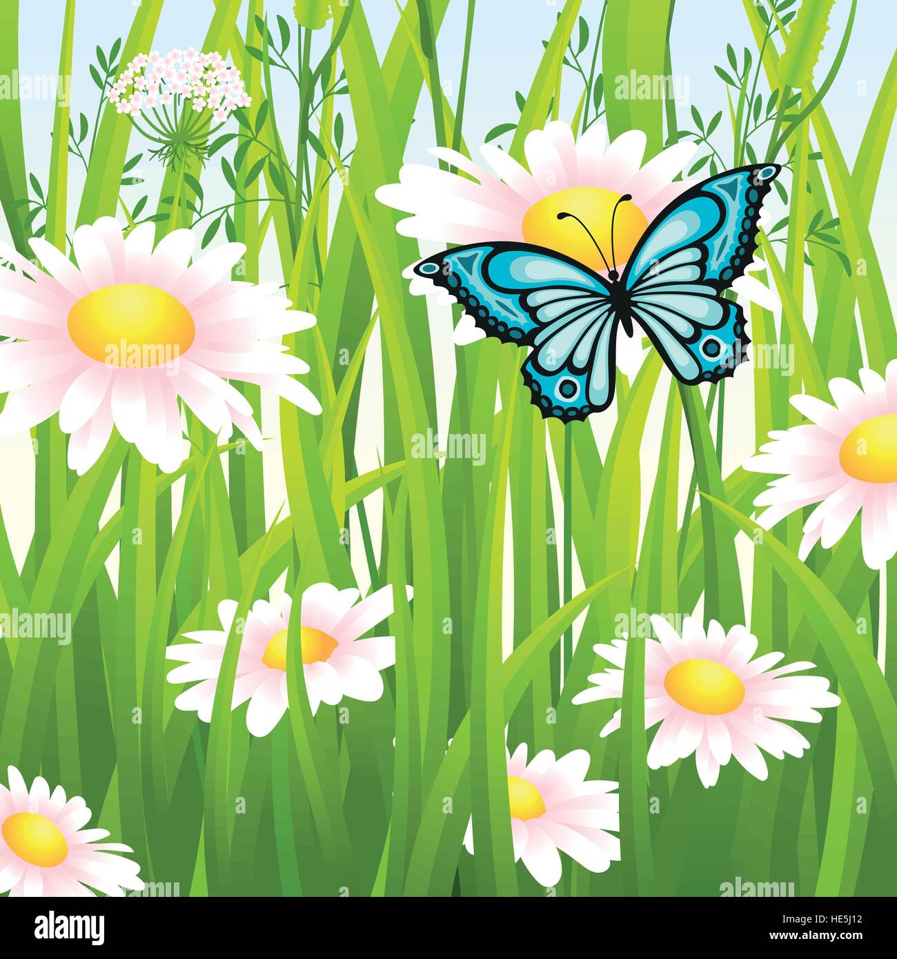 Blumenwiese im Sommer mit Schmetterling Stock Vektor