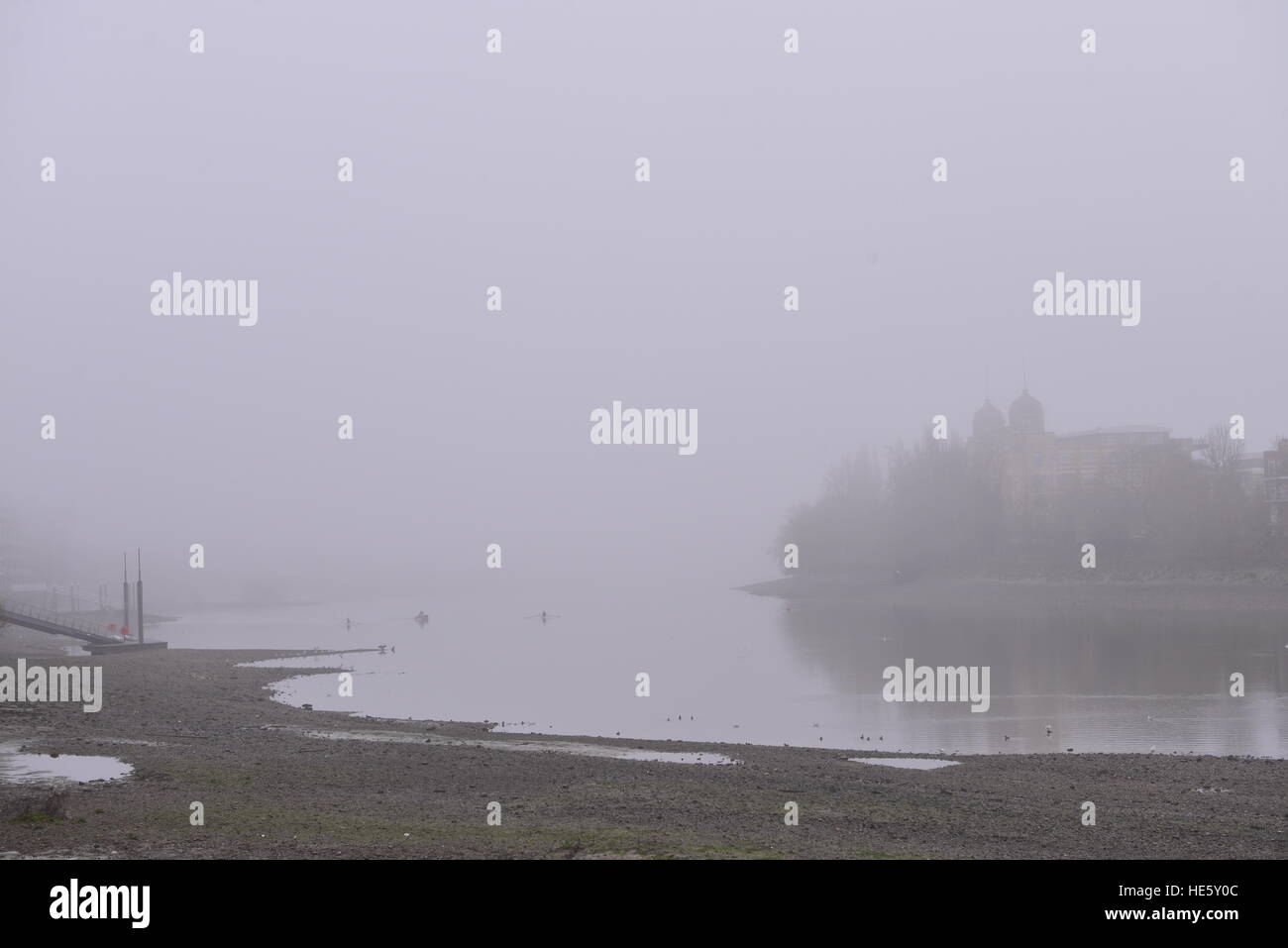 Rowers Ausbildung foggy nebligen Tag der Themse in der Nähe von Barnes Stockfoto