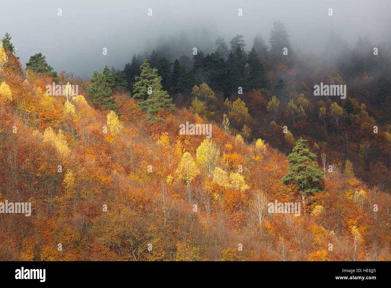 Herbstlandschaft in den Bergen des Kaukasus, Georgien. Stockfoto
