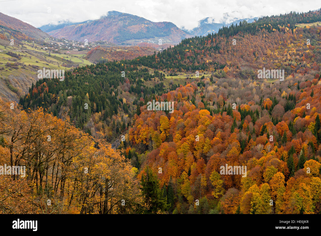 Herbstfarben Sie in den Bergen des Kaukasus, Georgien. Stockfoto