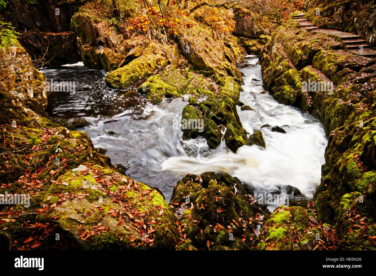 Die Biegung in der Fluss-Doe Stockfoto