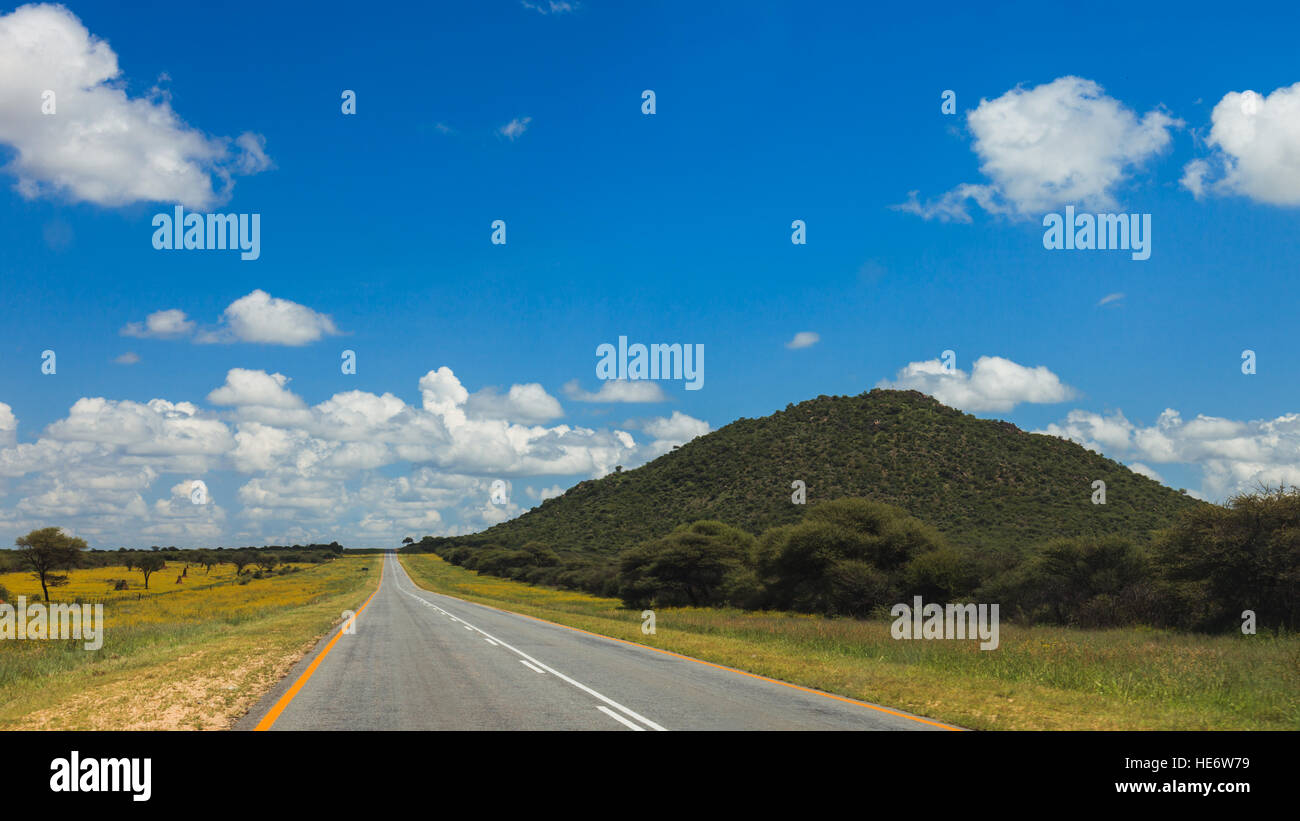 Südafrikanische Straße durch die Savannen und Wüsten mit Markierungen und Verkehrszeichen. Südafrika. Namibia. Stockfoto