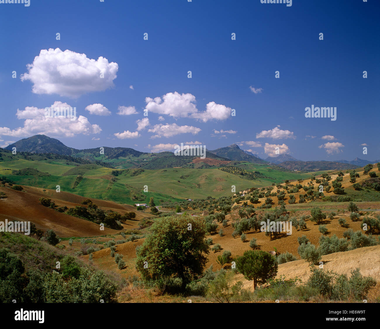Andalusische Landschaft in der Nähe von Granada, Spanien Stockfoto