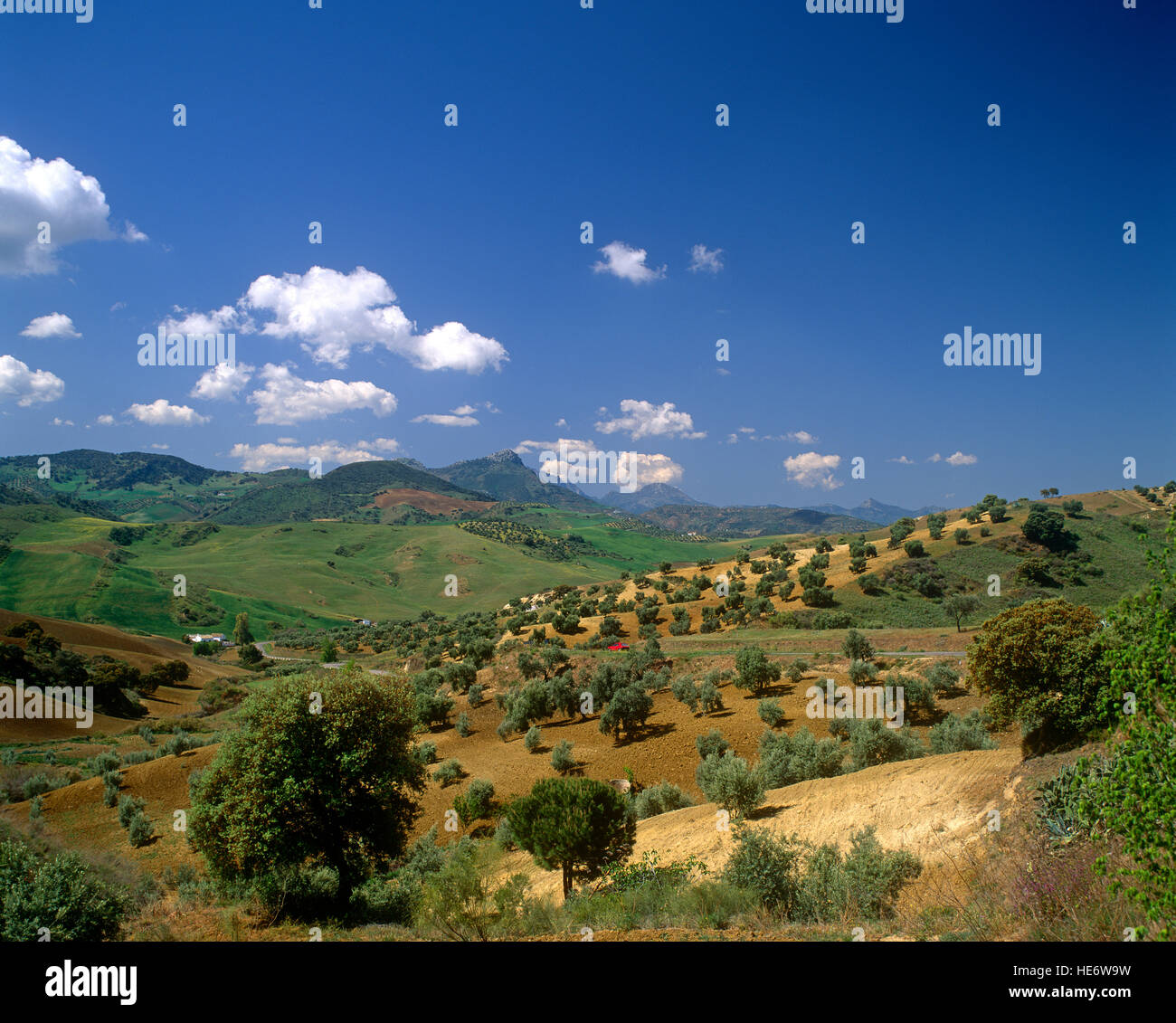 Andalusische Landschaft in der Nähe von Granada, Spanien Stockfoto