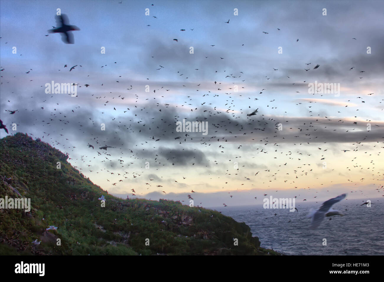 Unmengen. Sonnenuntergang über Inseln im Ozean. Aleuten-Commander Insel Grat. Pazifischen Ozean. Viele Vögel fliegen über Inseln Stockfoto
