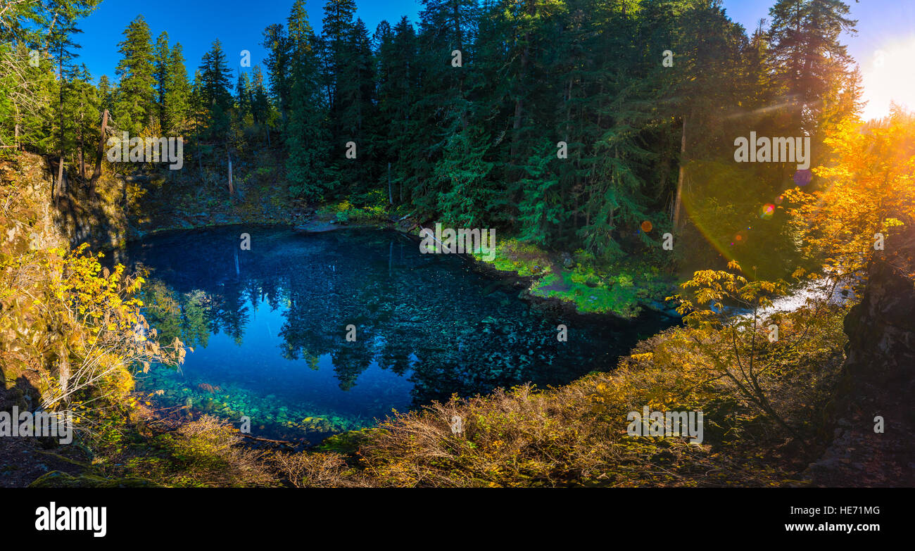 Tamolitch Blue Pool McKenzie River Oregon Cascade Mountain Range Stockfoto