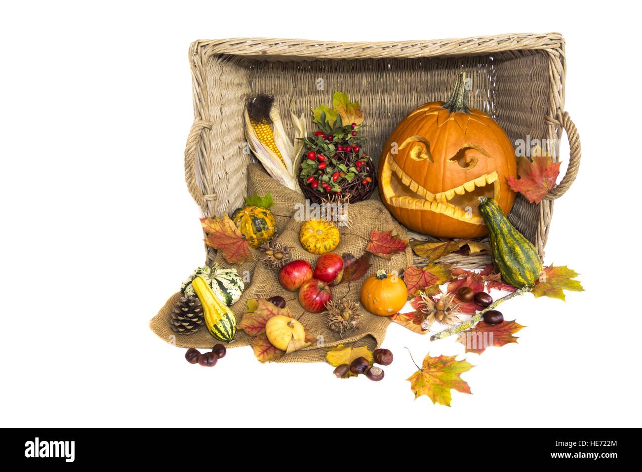 Ernte im Herbst mit natürlichem Gemüse und halloween Kürbis. Innerhalb und außerhalb eines Korbes gibt es einen geschnitzten helloween-Kürbis, Früchte wie Äpfel. Stockfoto