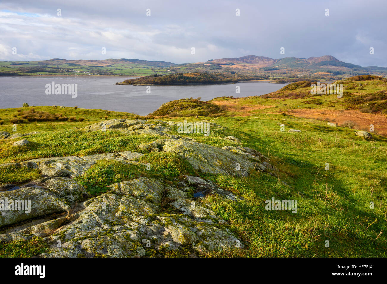 Auchencairn Bay und Screel Hill aus Almorness Punkt, Dumfries & Galloway, Schottland Stockfoto