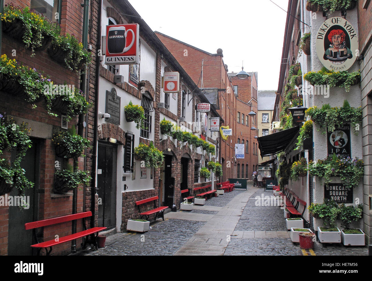 Duke Of York Pub, Belfast Straße Stockfoto