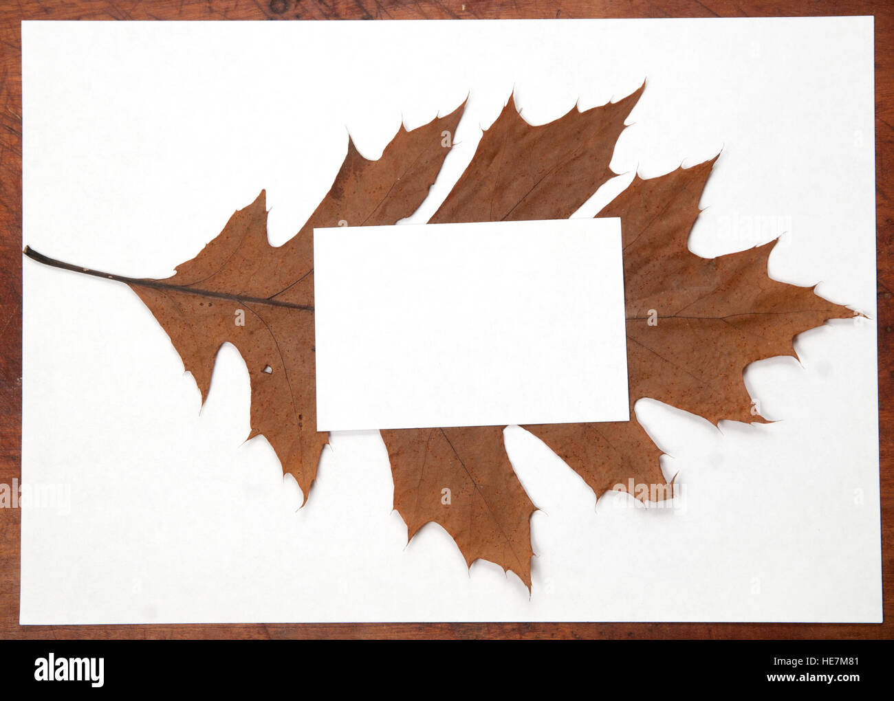 Herbst Flügelrahmen mit Platz für Text, Hintergrund Stockfoto