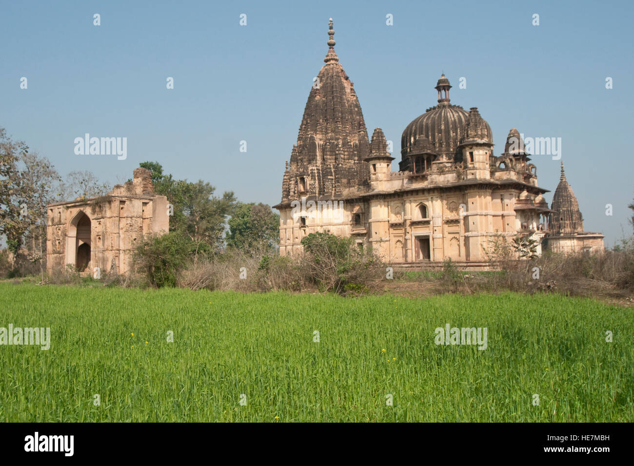 Alten Hindu-Tempel, umgeben von üppigen grünen Feldern in Orchha, Madhya Pradesh, Indien Stockfoto