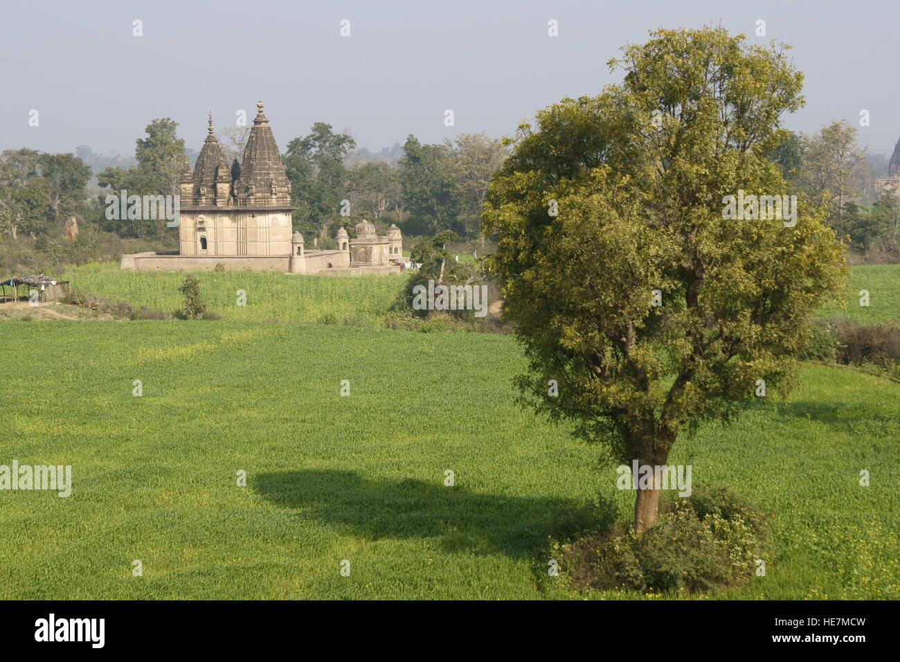 Alten Hindu-Tempel, umgeben von üppigen grünen Feldern in Orchha, Madhya Pradesh, Indien Stockfoto