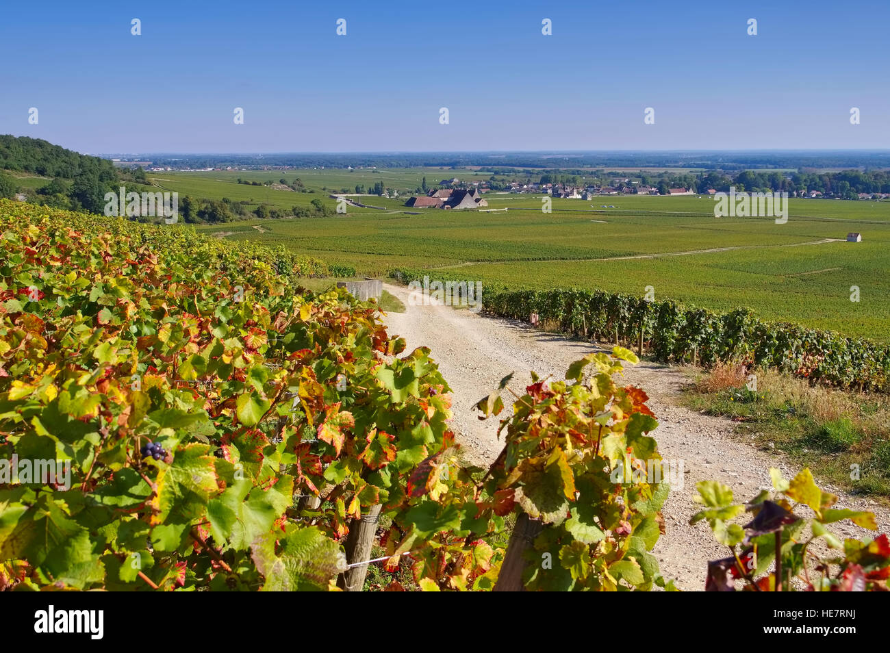 Chateau du Clos de Vougeot, Burgund - Chateau du Clos de Vougeot, Cote d ' or, Burgund in Frankreich Stockfoto