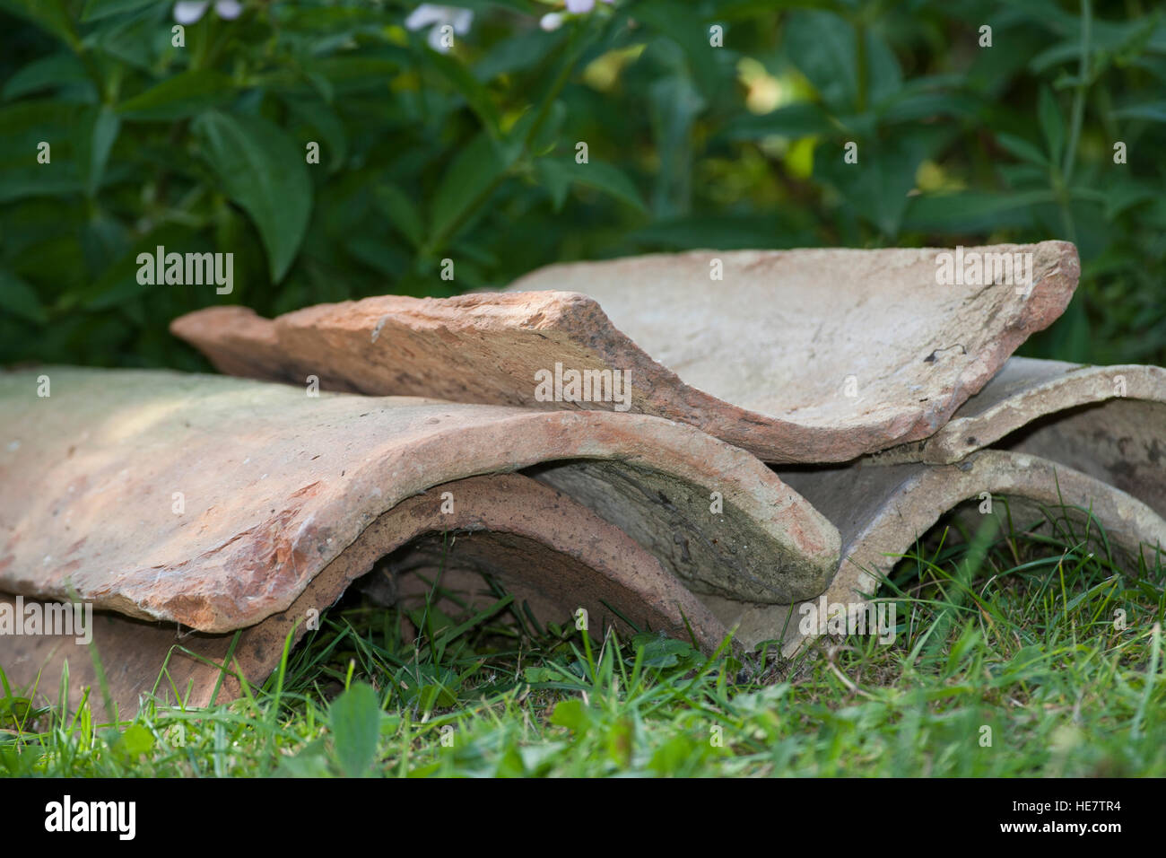 Unterschlupf Englisch