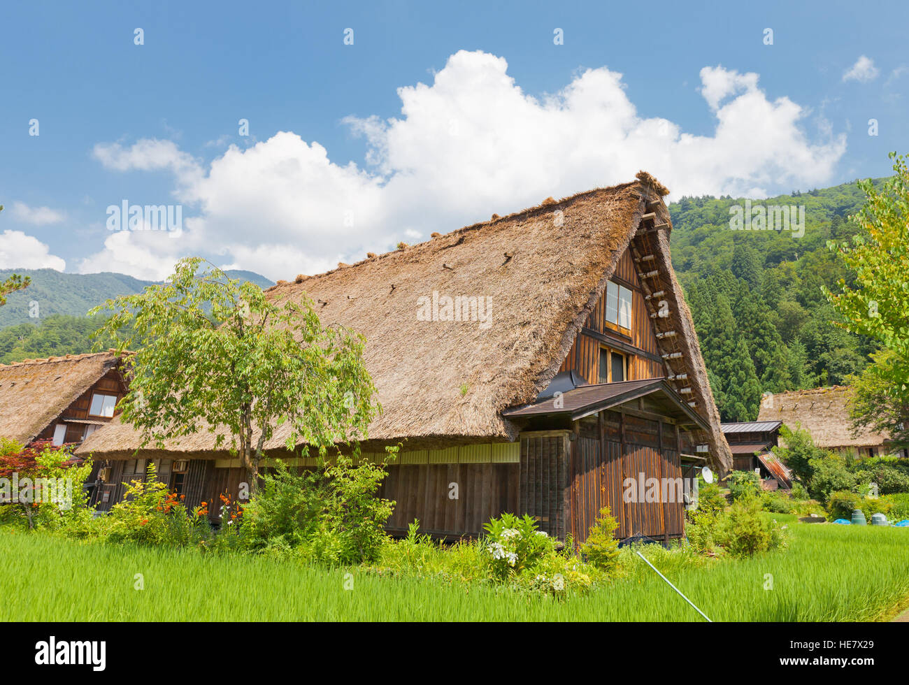 Altes Haus von einzigartigen Gassho-Stil mit Reetdach in Ōgimachi Dorf Shirakawa-Go Bezirk. UNESCO-Welterbe der UNESCO Stockfoto