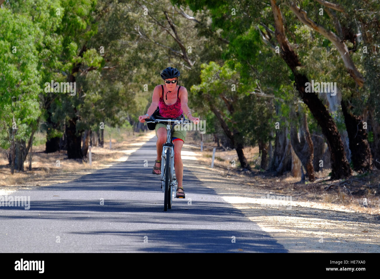 Eine Frau, Radfahren auf einer von Bäumen gesäumten Straße in den Pyrenäen von Victoria, Australien Stockfoto