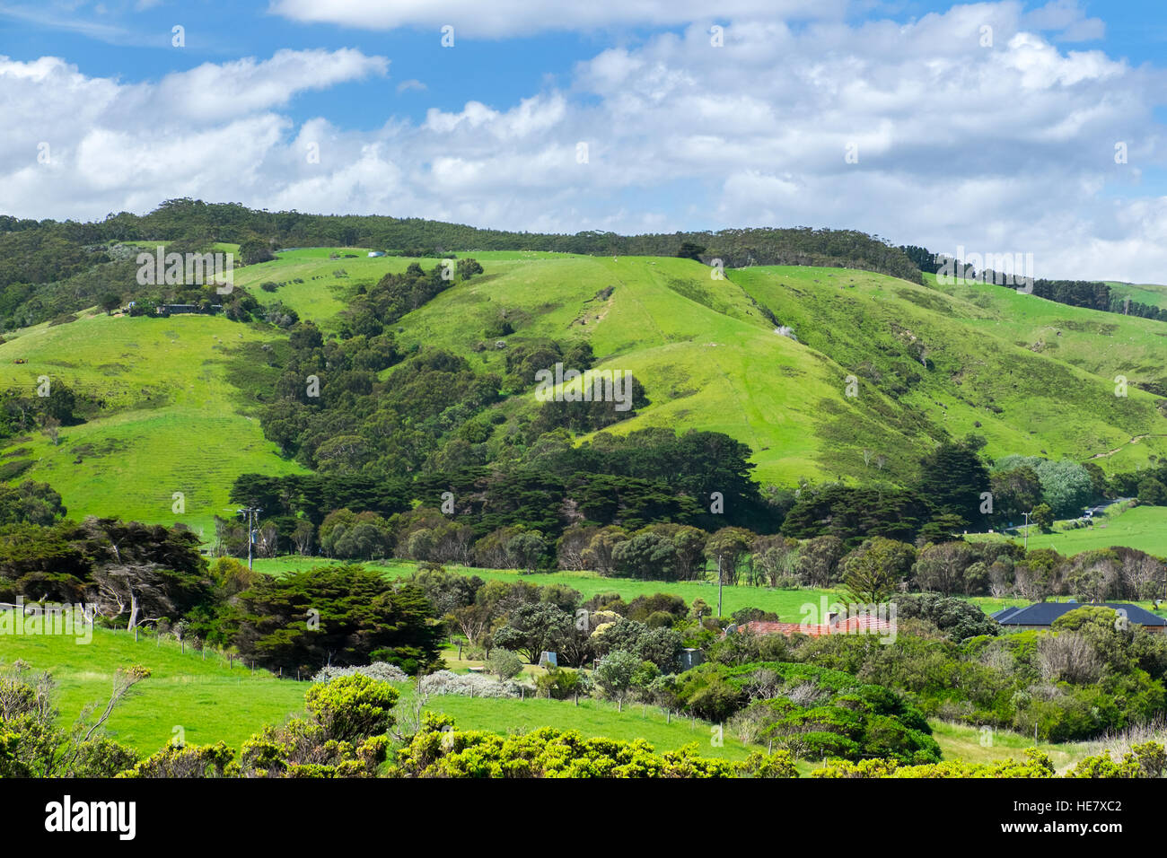 Grüne Landschaft landeinwärts von der Great Ocean Road in Victoria, Australien Stockfoto