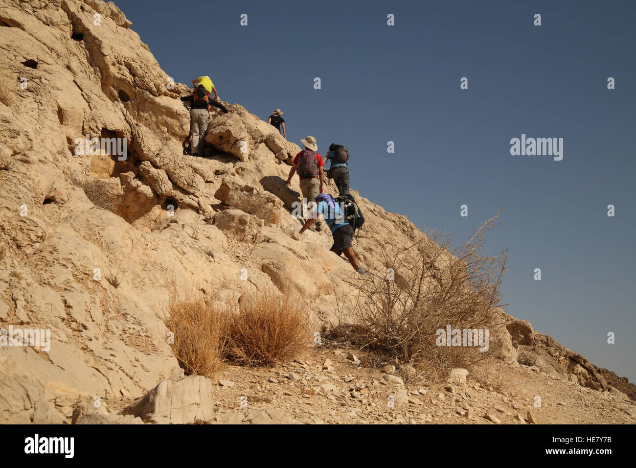 Senioren-Wanderer benutzen Stöcke und Hände in Unterstützung beim Klettern einer steile Felswand vor ihnen in der Negev-Wüste Stockfoto