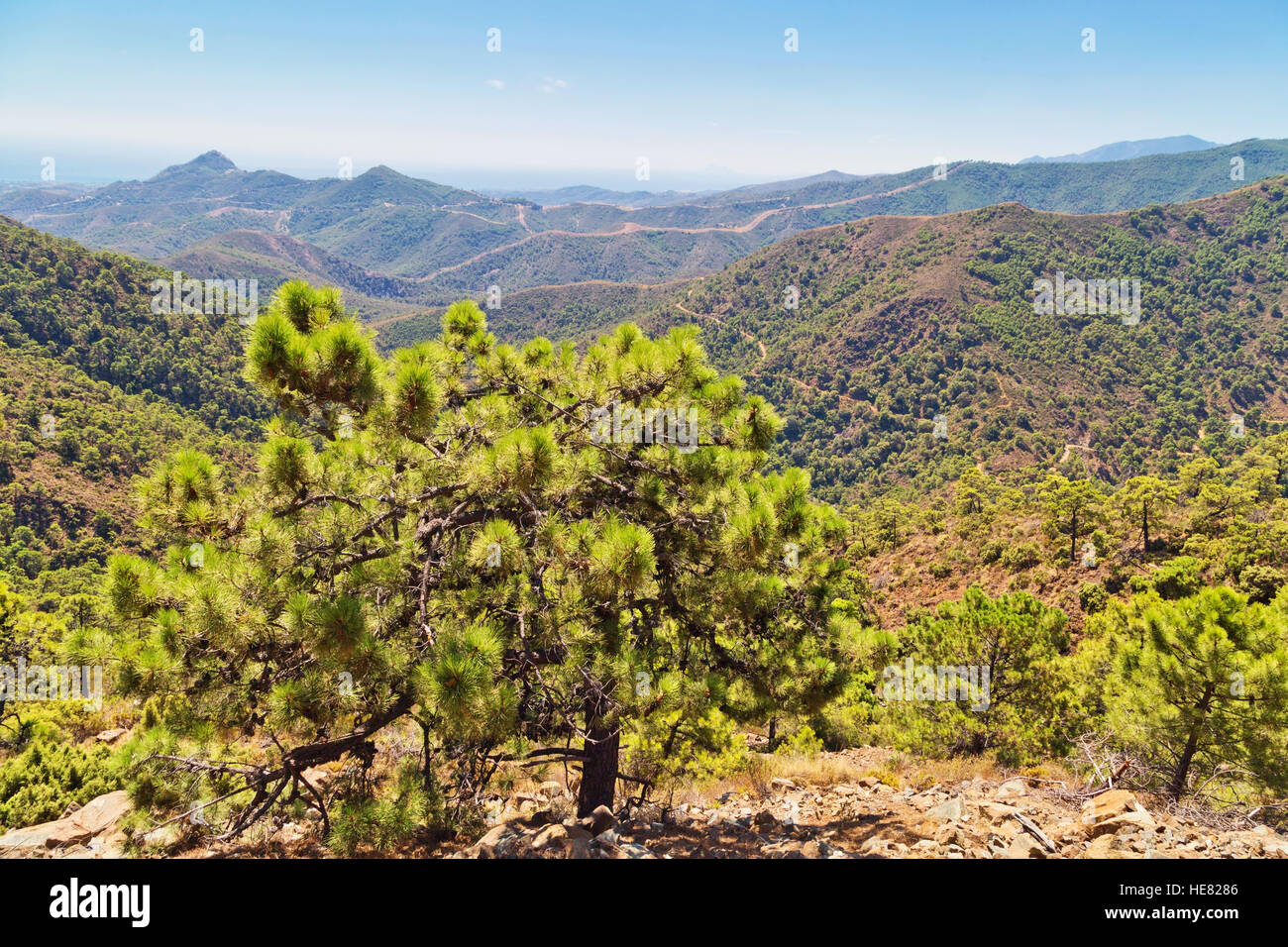 Schöne Landschaft mit Wiesen und Bergen in Andalusien, Spanien Stockfoto