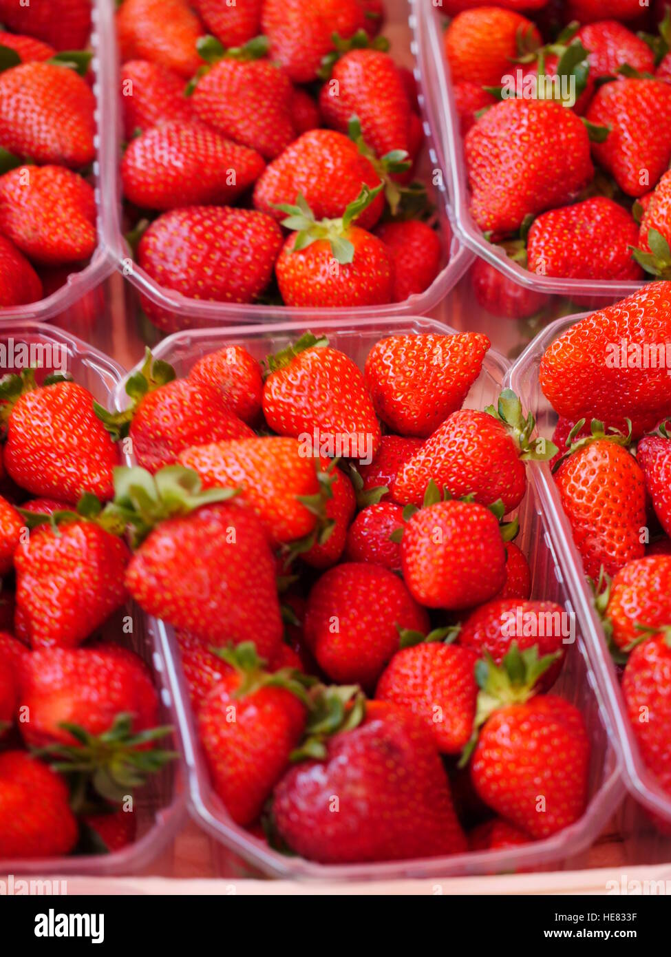 Erdbeeren in Kunststoff-Eimer Stockfoto