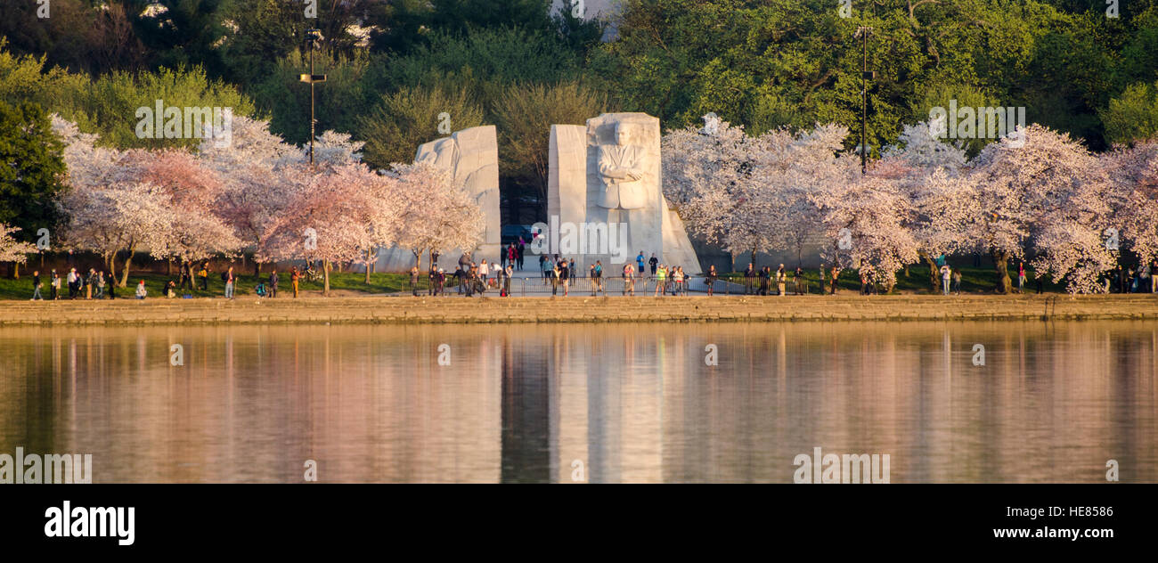 Panoramablick von der Martin Luther King, Jr., Denkmal, mit blühenden Kirsche Bäume entlang der Tidal Basin in Washington, DC. Stockfoto
