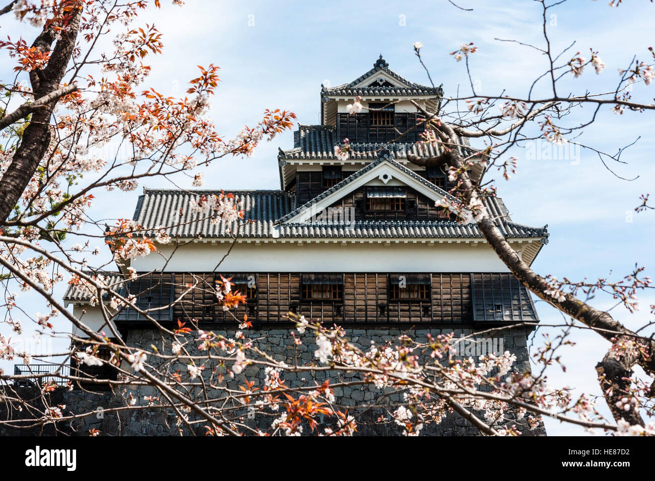 Schloss Kumamoto, Ginnan-jo. 5-stöckigen Iidamaru Gehen - kai Yagura, Revolver durch Kirschblüten gesehen vor dem Erdbeben 2016 beschädigt. Stockfoto