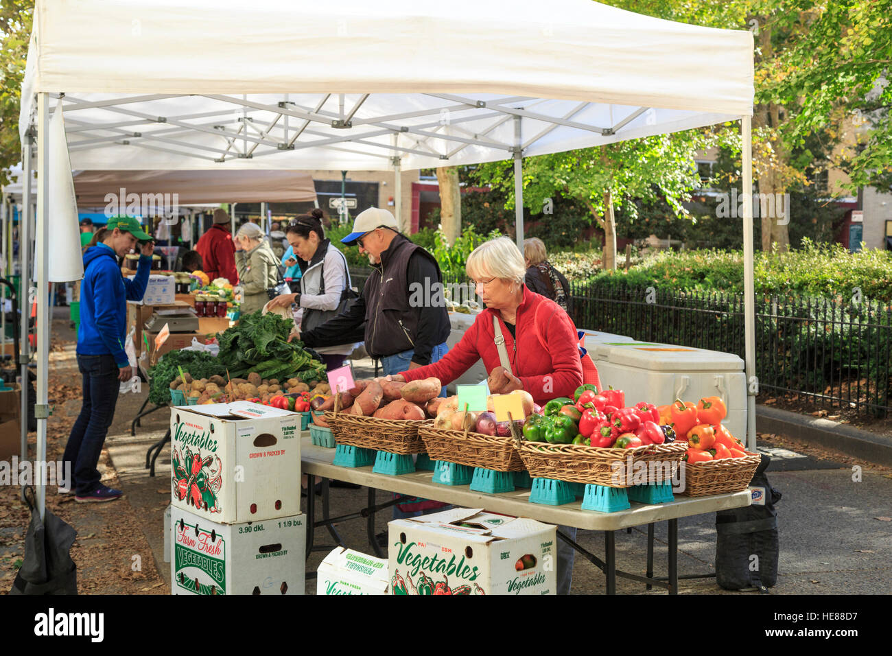 Bauernmarkt im Herbst mit Senioren einkaufen, Riitenhouse Square, Philadelphia, Pennsylvania, USA Stockfoto