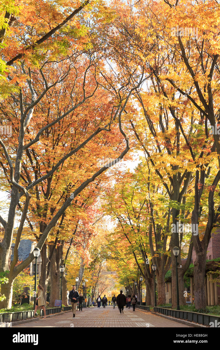 Heuschrecken Spaziergang mit einer Menge von Studierenden im Herbst auf dem Campus, Universität von Pennsylvania, University City, Philadelphia, PA, USA Stockfoto
